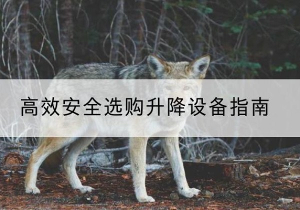 鸡东升降货梯厂家推荐-*安全选购升降设备指南