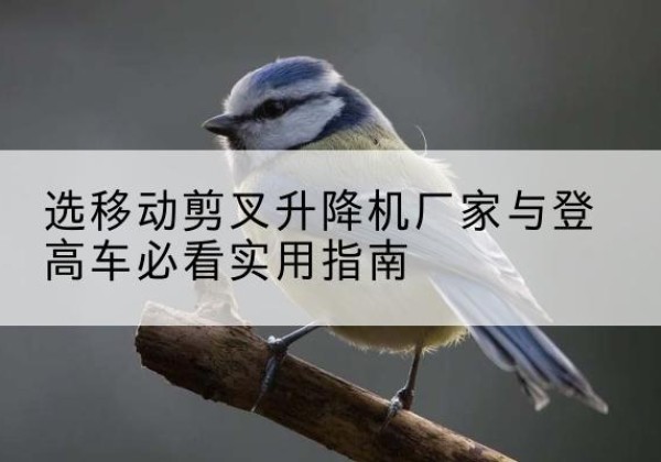 鸡东电动升降机厂家-选移动剪叉升降机厂家与登高车必看实用指南