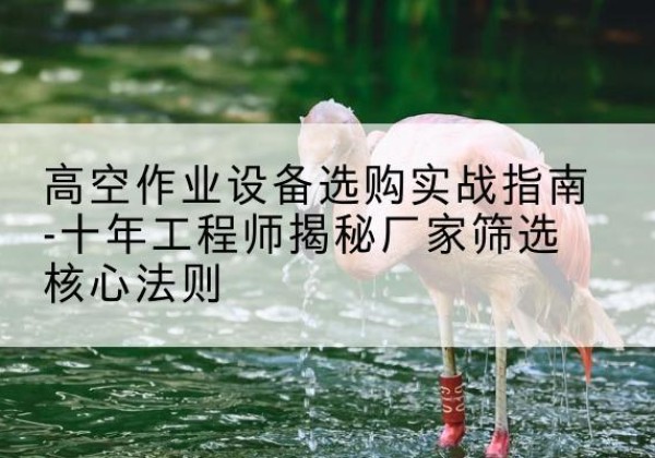 鸡东剪叉式升降机厂家-高空作业设备选购实战指南-十年工程师揭秘厂家筛选核心法则